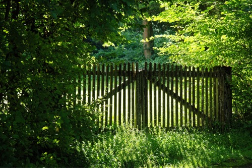 wood-fence-1610150_1920